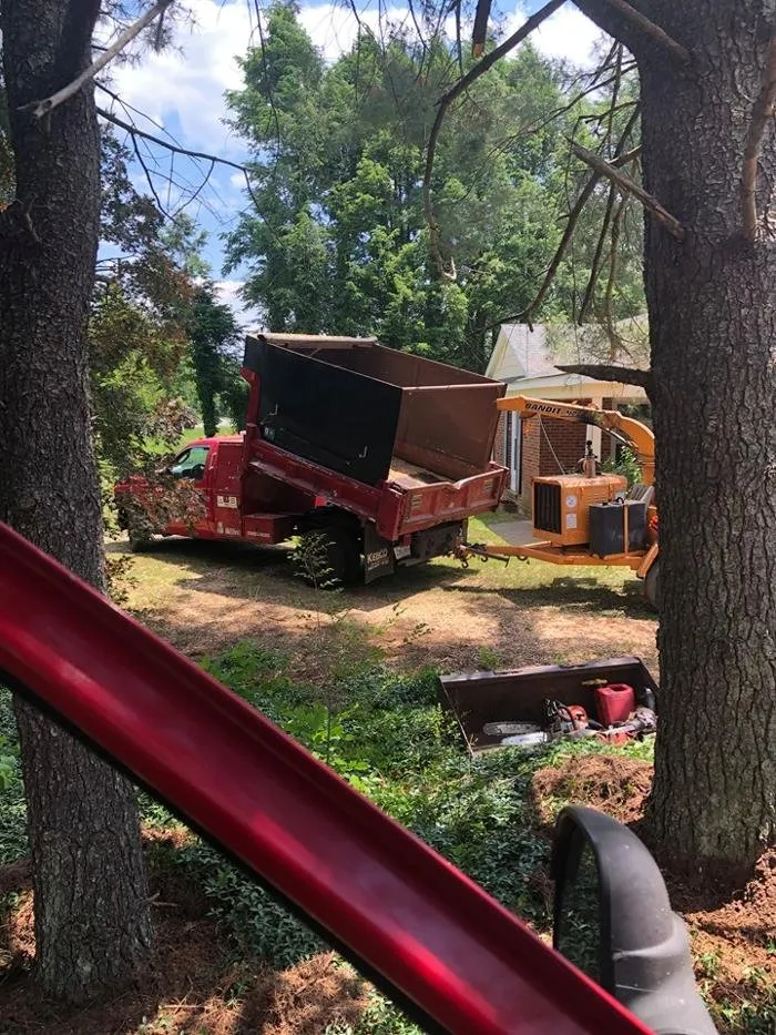 Top-rated yard cleanup service in Culpeper, VA by Kirby's Tree And Landscaping