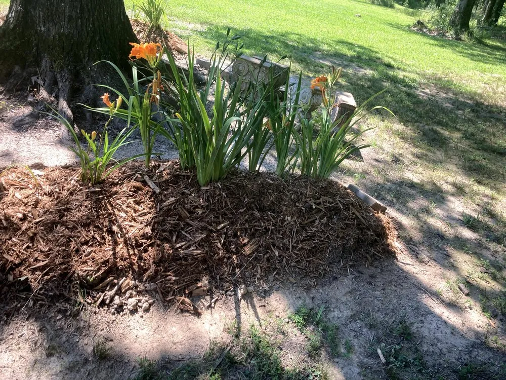 Professional landscape design in Crossett, AR by Kiri’s Helping Hands