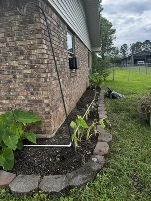 Kiri’s Helping Hands