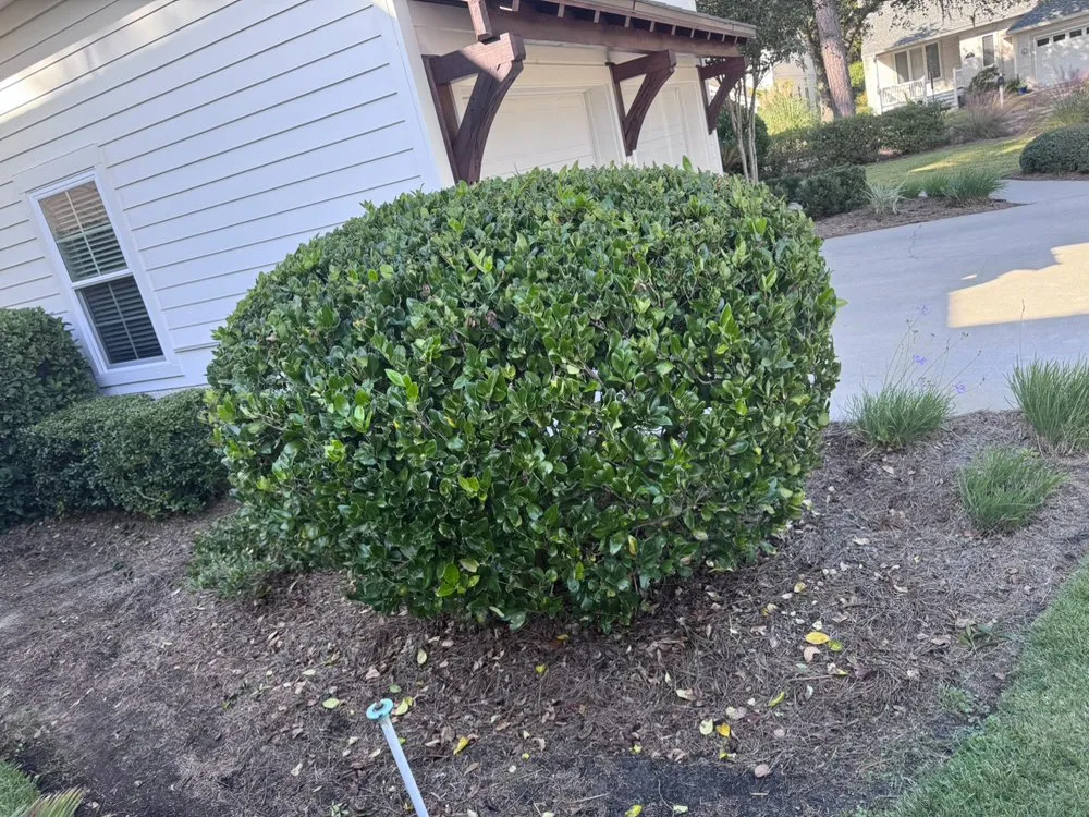 Custom lawn mowing service experts serving Brunswick, GA - Kirkland’s Full Coverage Lawn Care