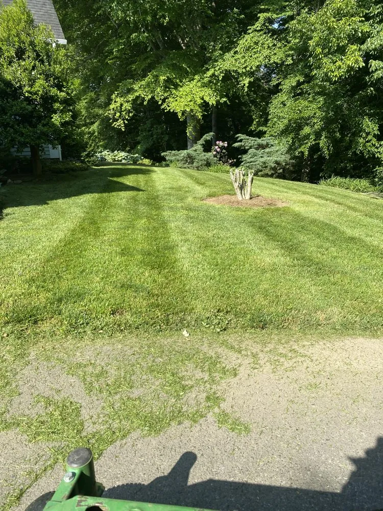 Reliable lawn care service for outdoor upgrades across Boonville, NC - Kirkman Turf Maintenance