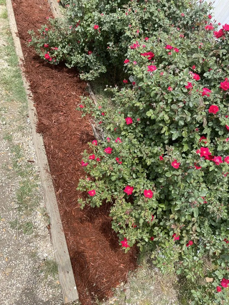 Affordable yard maintenance for year-round maintenance in Waynesville, NC by Kirkpatrick landscaping