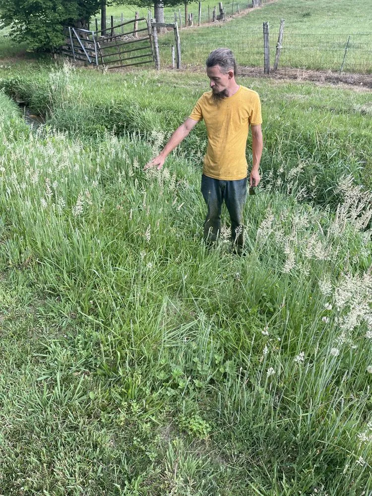 Local yard maintenance for homes across Waynesville, NC - Kirkpatrick landscaping