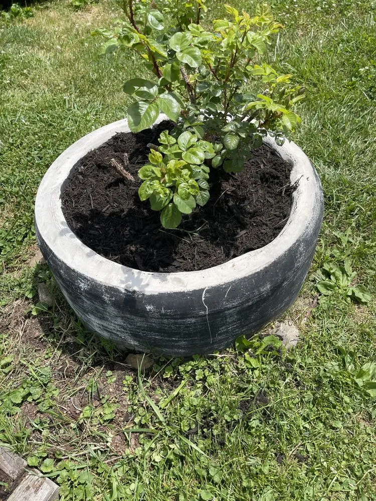 Top-rated yard maintenance experts serving Waynesville, NC - Kirkpatrick landscaping