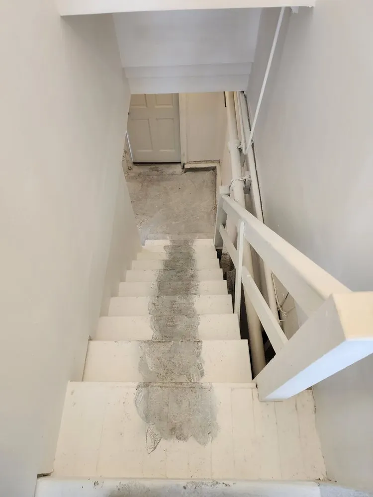 Professional garden landscaping for outdoor upgrades in San Francisco, CA by Kirkpatrick Maintenance and Services