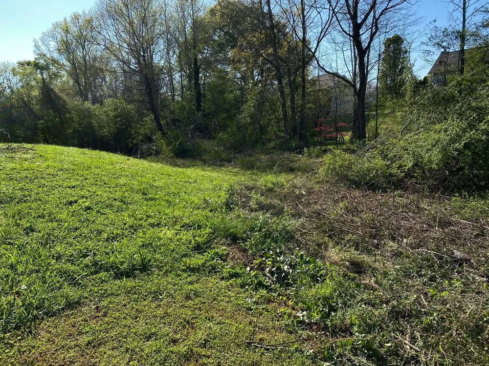 Expert landscape design for year-round maintenance across Griffin, GA - Kirk's Cuts Landscaping and Lawn Maintenance