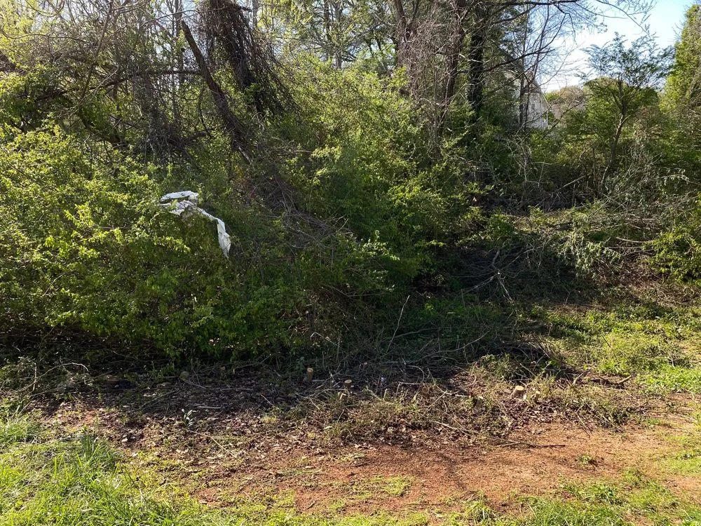 Expert yard cleanup service in Griffin, GA - Kirk's Cuts Landscaping and Lawn Maintenance