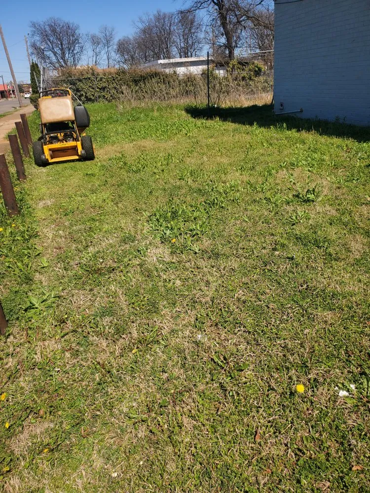 Professional landscape installation for outdoor upgrades across Wilmington, DE - Kirks Law Nand Care