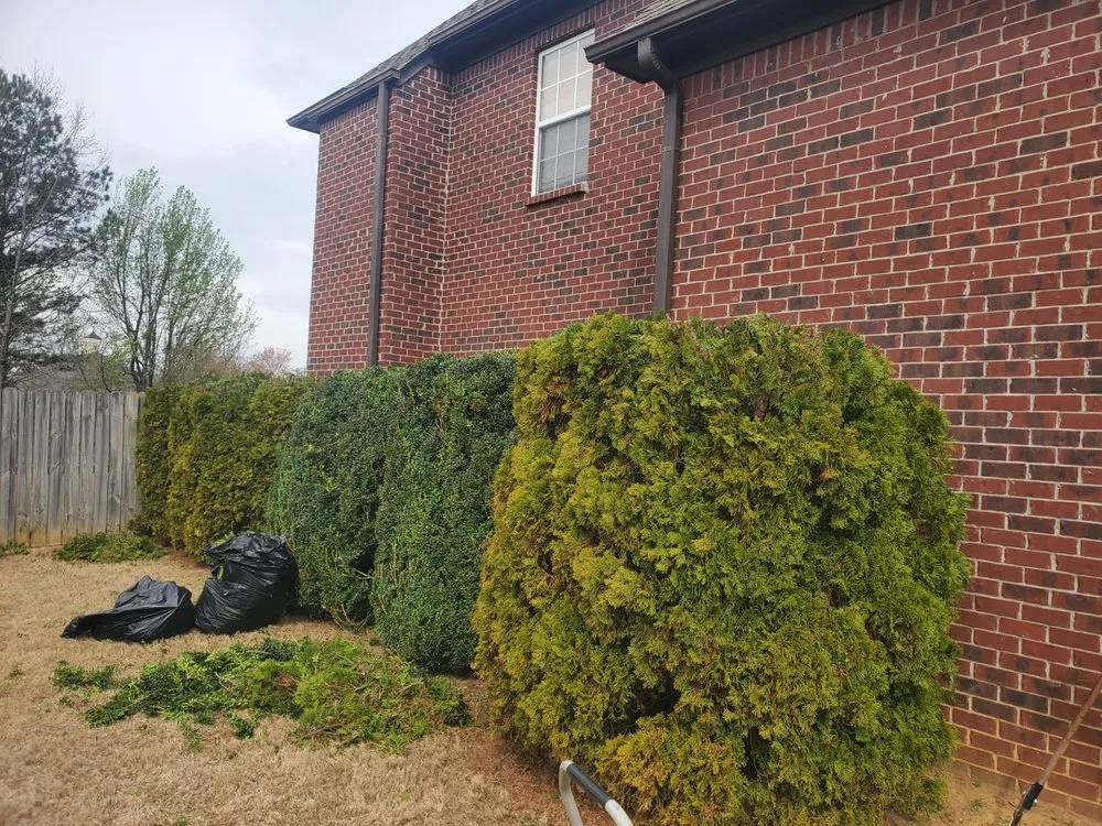 Professional landscape design for outdoor upgrades across Wilmington, DE - Kirks Law Nand Care