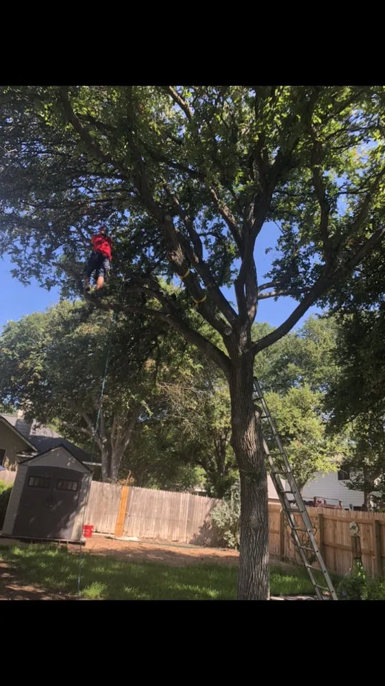 Custom yard cleanup service near you in Canyon Lake, TX by Kirks Lawn Care