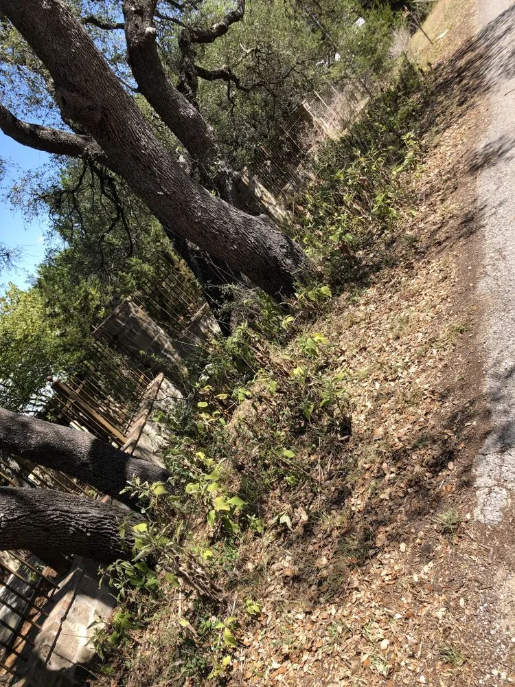 Reliable landscape installation for homes across Canyon Lake, TX - Kirks Lawn Care