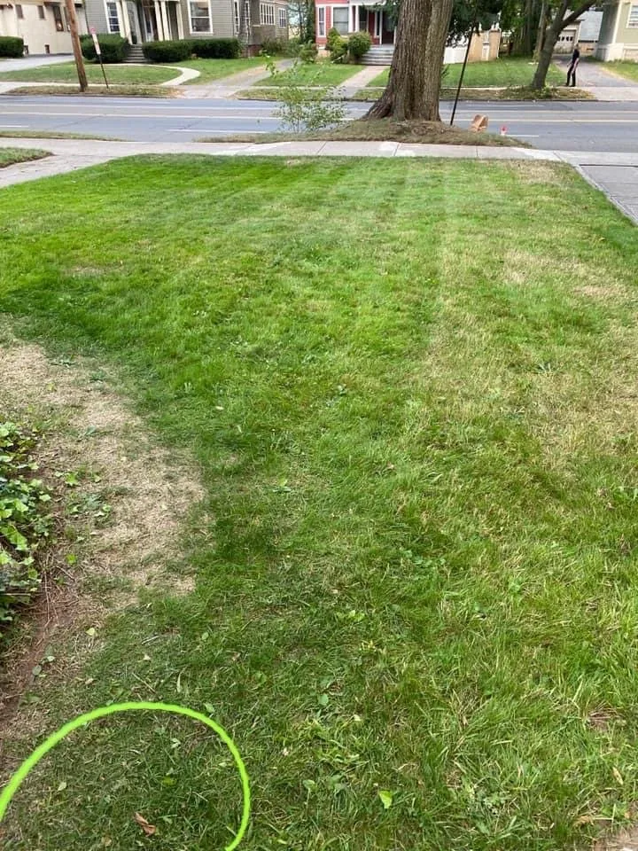 Professional landscape installation for outdoor upgrades in New Haven, CT by KirksLandCare