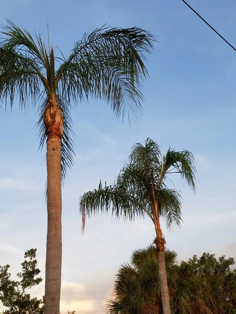 Local landscaping services in Punta Gorda, FL by Kirkwood Services