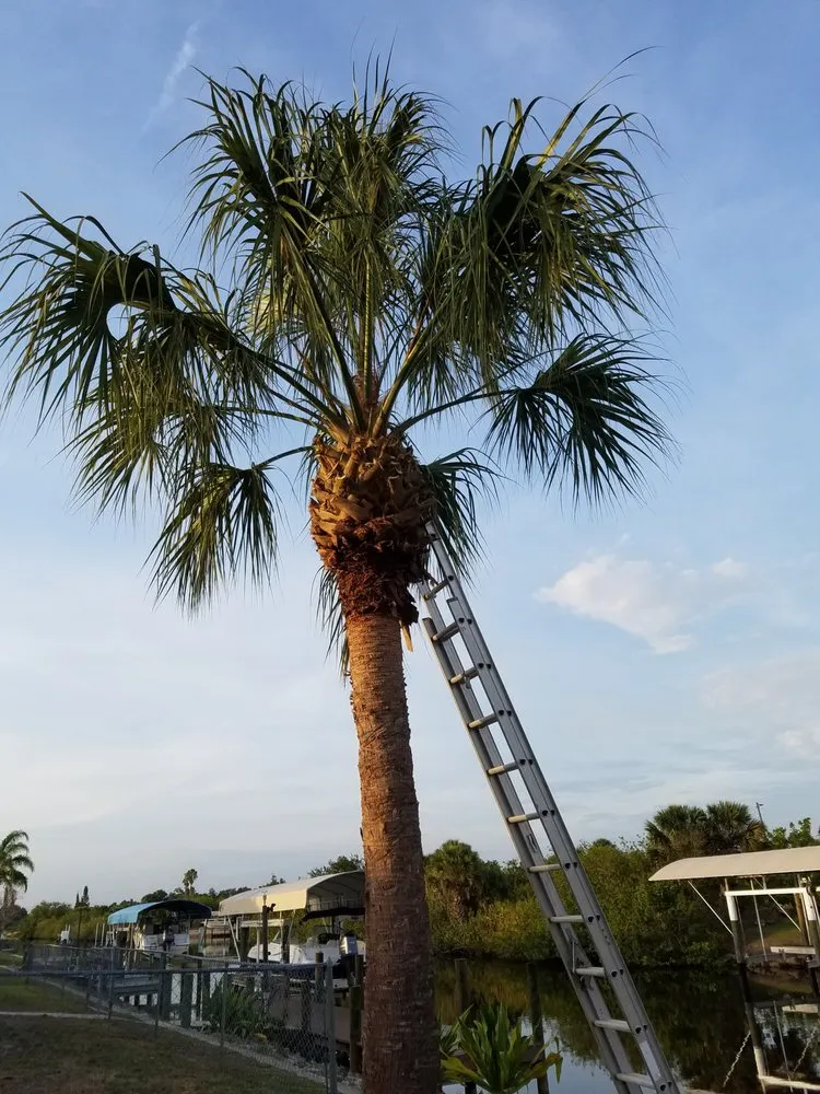 Local residential landscaping with custom design across Punta Gorda, FL - Kirkwood Services