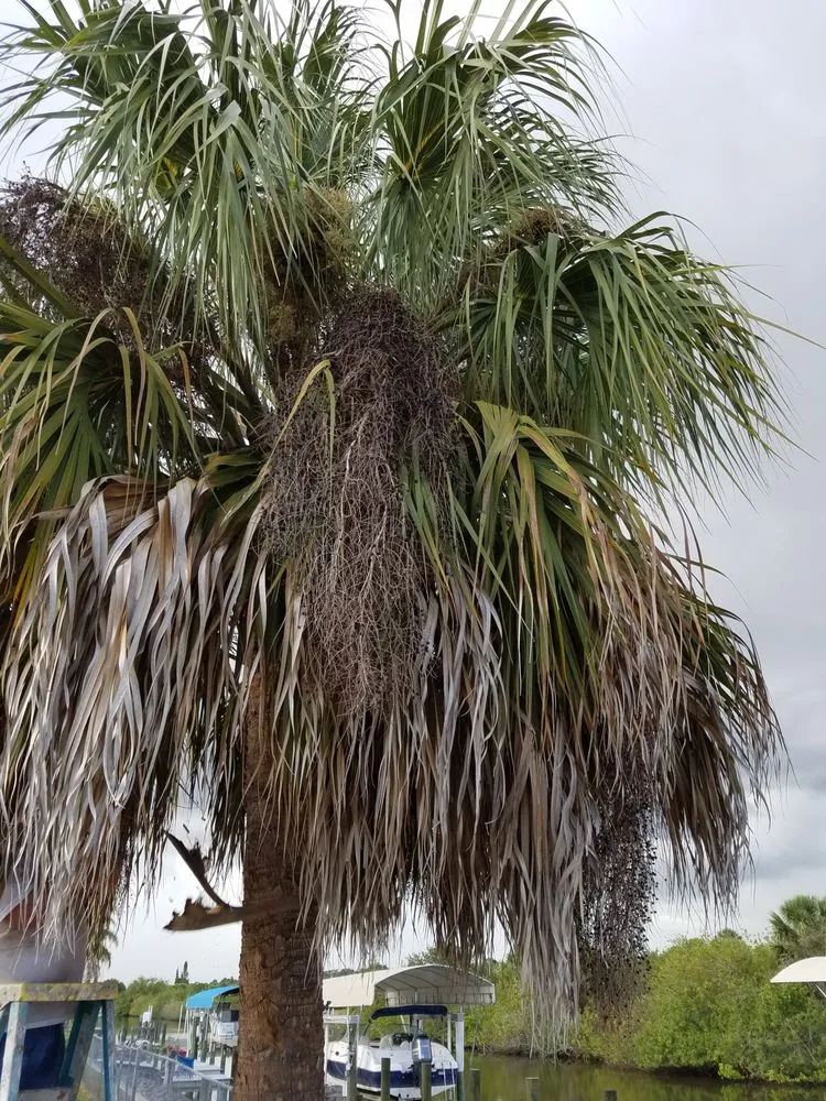 Expert garden landscaping in Punta Gorda, FL - Kirkwood Services