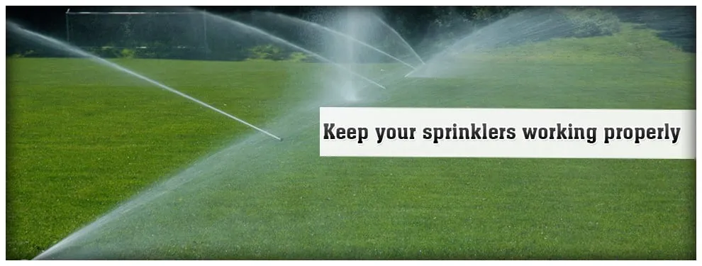 Top-rated lawn mowing service in Plant City, FL by Kirnes General Maintenance