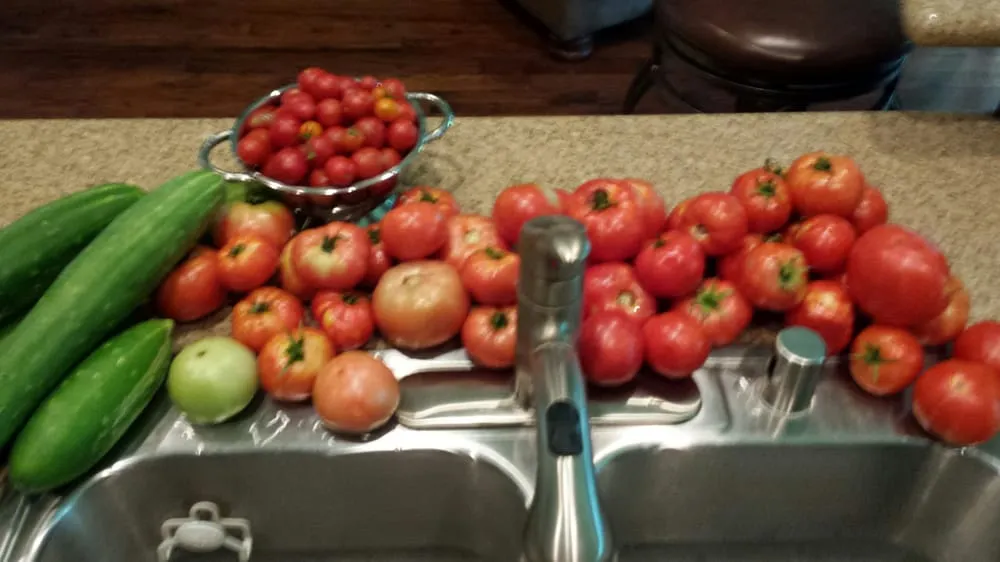 Affordable outdoor landscaping in Kingwood, TX - Kirsch Landscape & Design