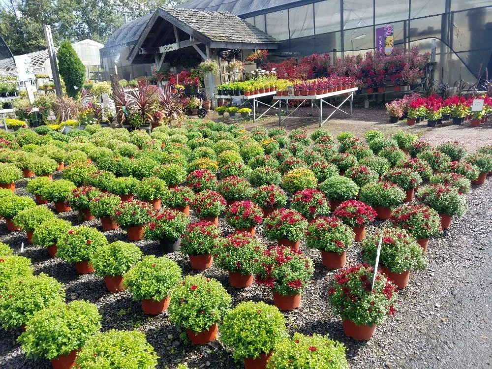 Custom landscape design for year-round maintenance across Newtown, PA - Kirshner Landscapes