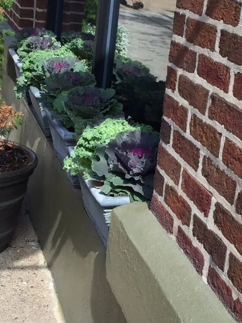 Professional lawn mowing service for year-round maintenance across Newtown, PA - Kirshner Landscapes