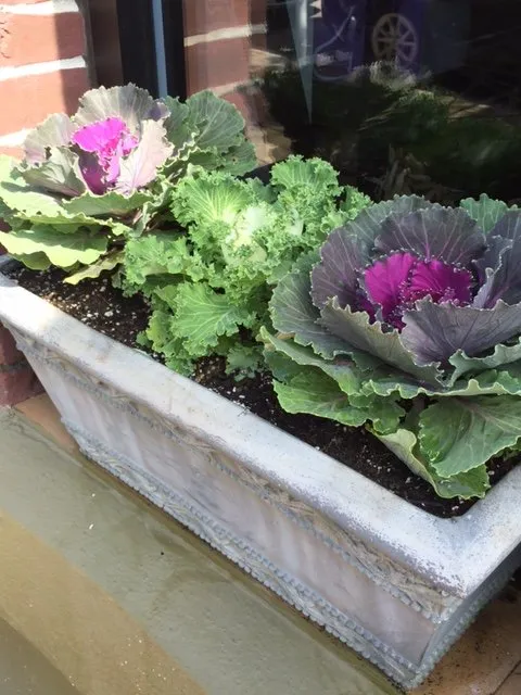 Custom lawn mowing service for outdoor upgrades across Newtown, PA - Kirshner Landscapes