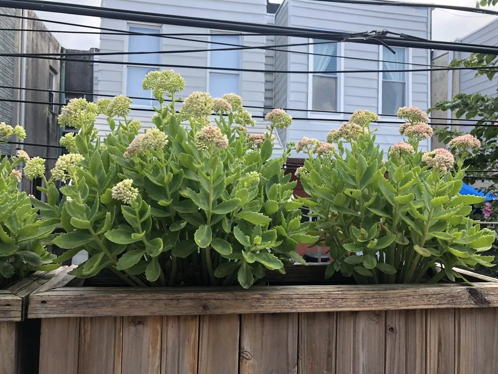 Trusted lawn mowing service for year-round maintenance in Newtown, PA by Kirshner Landscapes