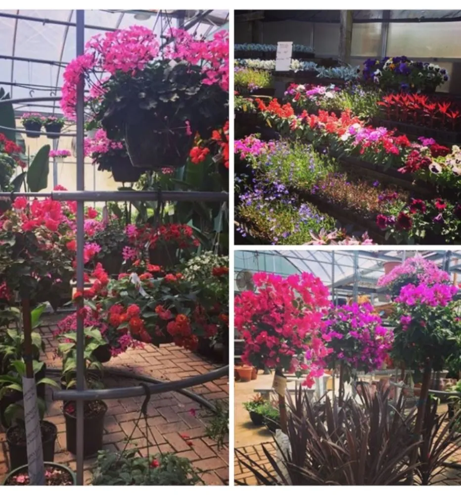 Affordable yard maintenance in Newtown, PA by Kirshner Landscapes