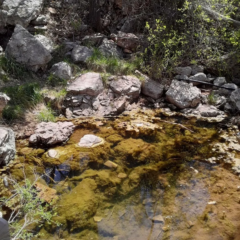 Expert landscape installation for outdoor upgrades in Borger, TX by Kirstophers Lawn