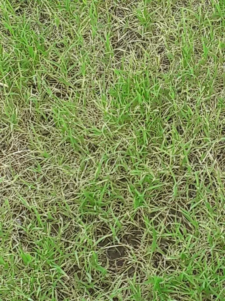 Trusted garden landscaping for outdoor upgrades across Borger, TX - Kirstophers Lawn