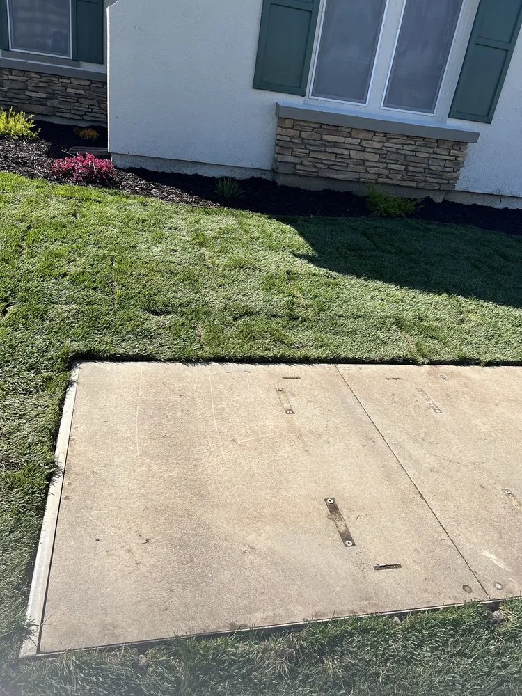 Professional yard cleanup service in Manteca, CA - Kiser Landscape Yard Pros