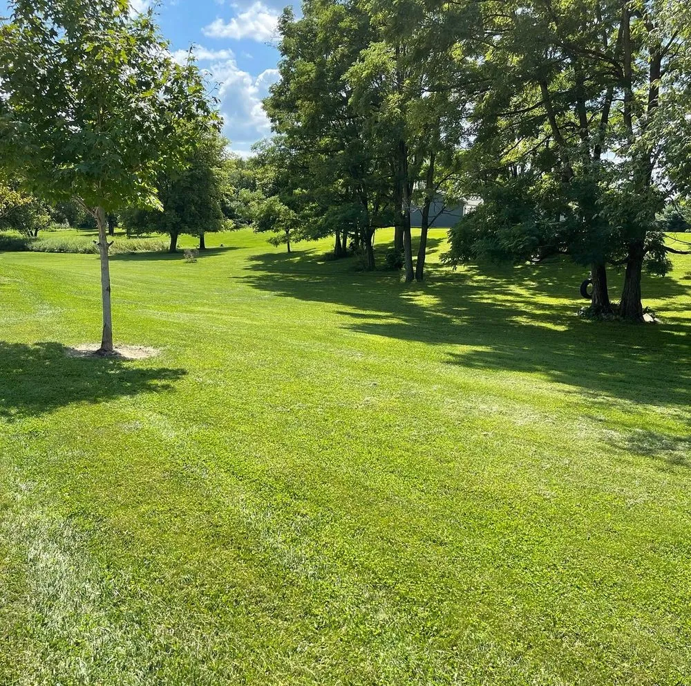 Reliable lawn mowing service in Onsted, MI by Kish Lawn and Landscape
