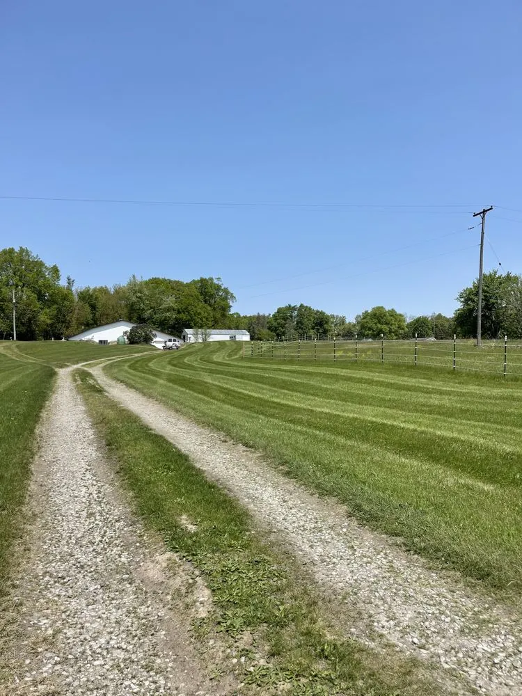 Reliable yard cleanup service experts serving Onsted, MI - Kish Lawn and Landscape