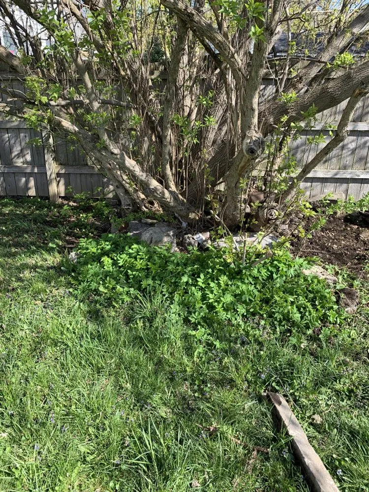 Trusted landscaping services in Watertown, NY by Kishel’s Official’s Landscaping