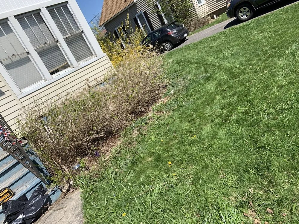 Custom yard cleanup service for residential properties across Watertown, NY - Kishel’s Official’s Landscaping