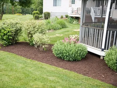Expert landscaping services for outdoor upgrades in Beaver Dam, WI by Kisii Yard & Home