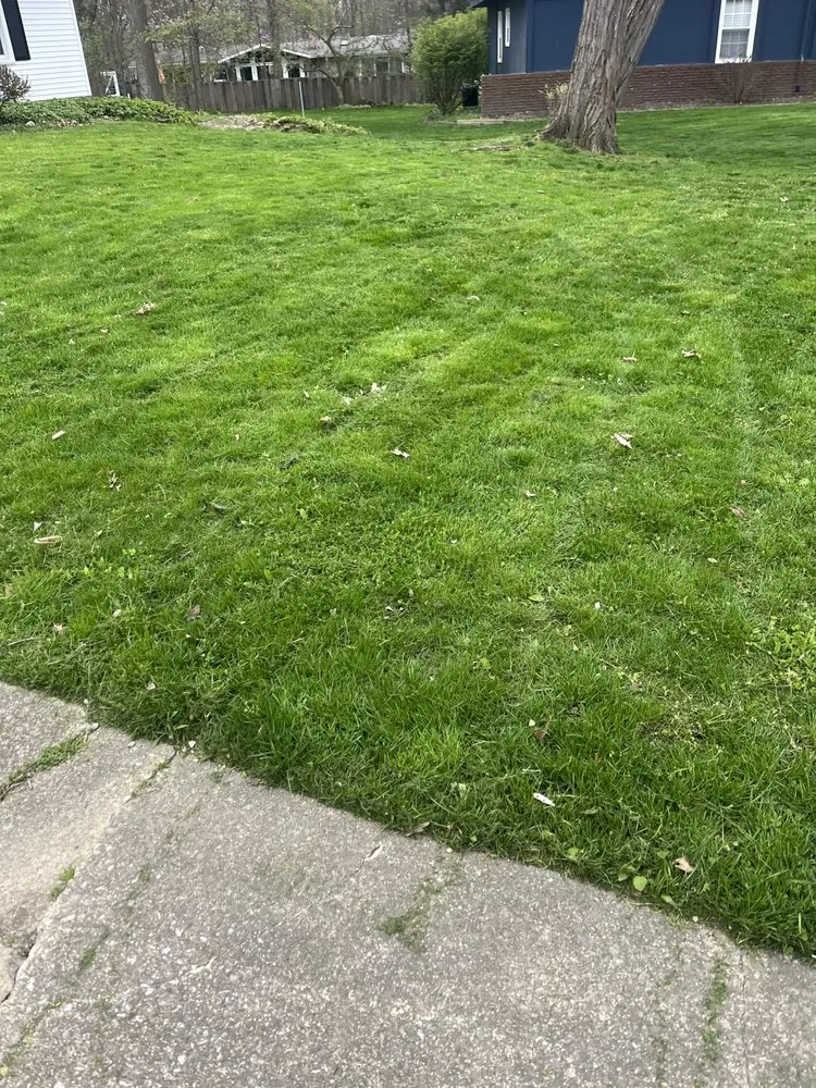 Reliable yard cleanup service in Stow, OH - Kisner Scapes