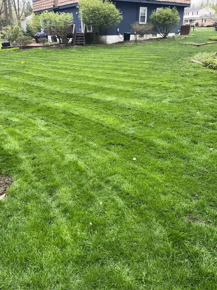 Local yard cleanup service for outdoor upgrades in Stow, OH by Kisner Scapes