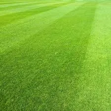 Top-rated yard cleanup service for homes in Columbia, PA by Kiss My Grass