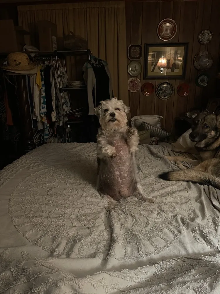 Top-rated lawn care service experts serving Lake Park, GA - Kiss My Grass Landscaping