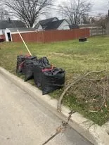 Top-rated lawn care service in Lincoln Park, MI - Kiss My Grass Lawn and Snow