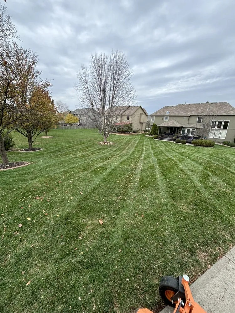Professional yard maintenance in Lee's Summit, MO - Kiss My Grass Lawn Care