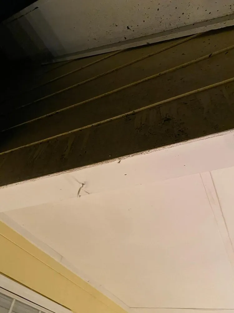 Expert landscaping services for residential properties in Powder Springs, GA by Kiss My Grass Lawn Care