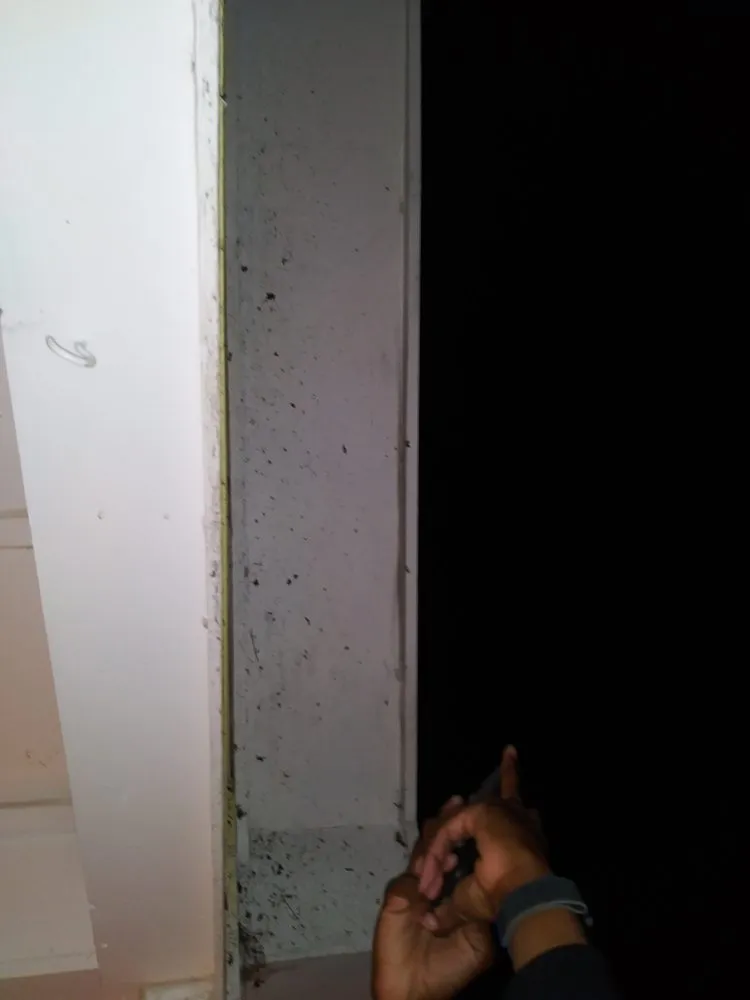 Affordable landscape installation for beautiful yards across Powder Springs, GA - Kiss My Grass Lawn Care