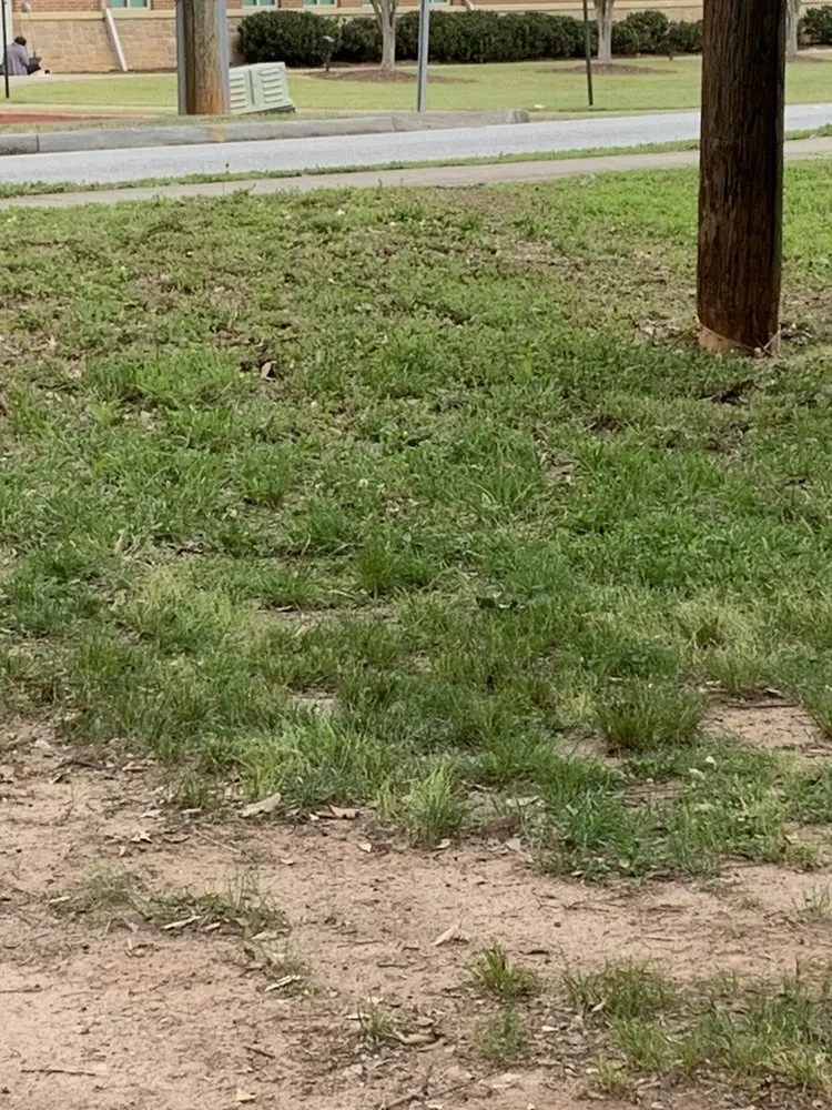 Local landscape design in Powder Springs, GA - Kiss My Grass Lawn Care