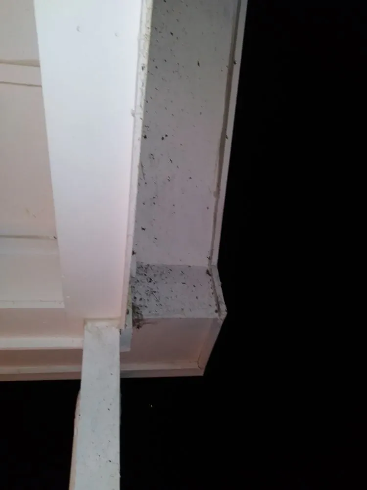 Affordable garden landscaping for beautiful yards across Powder Springs, GA - Kiss My Grass Lawn Care