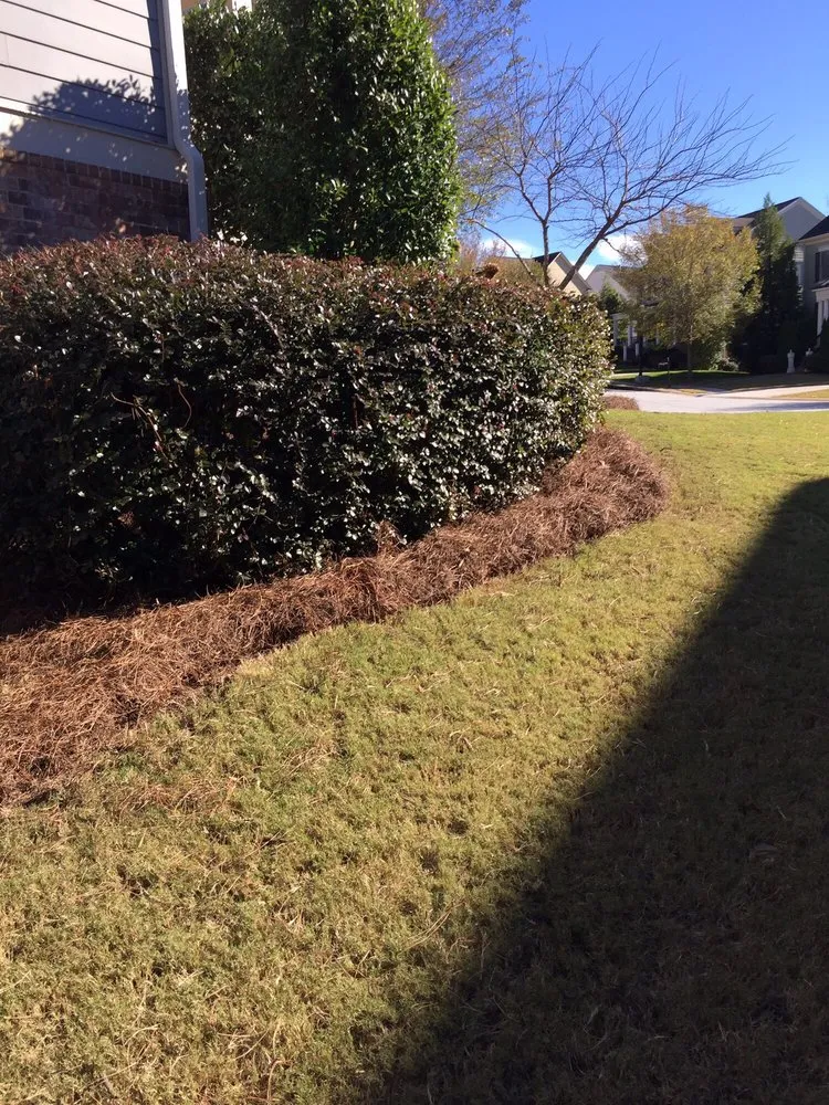 Expert landscape design with custom design in Powder Springs, GA by Kiss My Grass Lawn Care