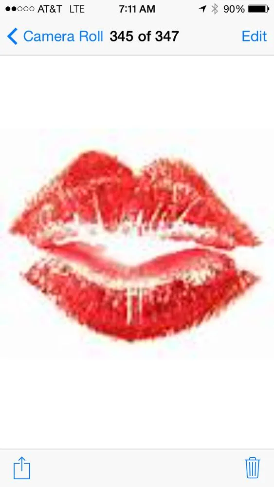 Expert landscape installation experts serving Middleburg, FL - Kiss My Grass