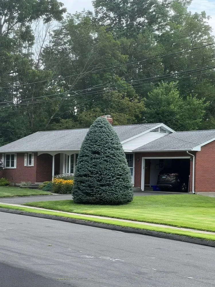 Expert outdoor landscaping in Bristol, CT - Kiss My Grass Property Maintenance