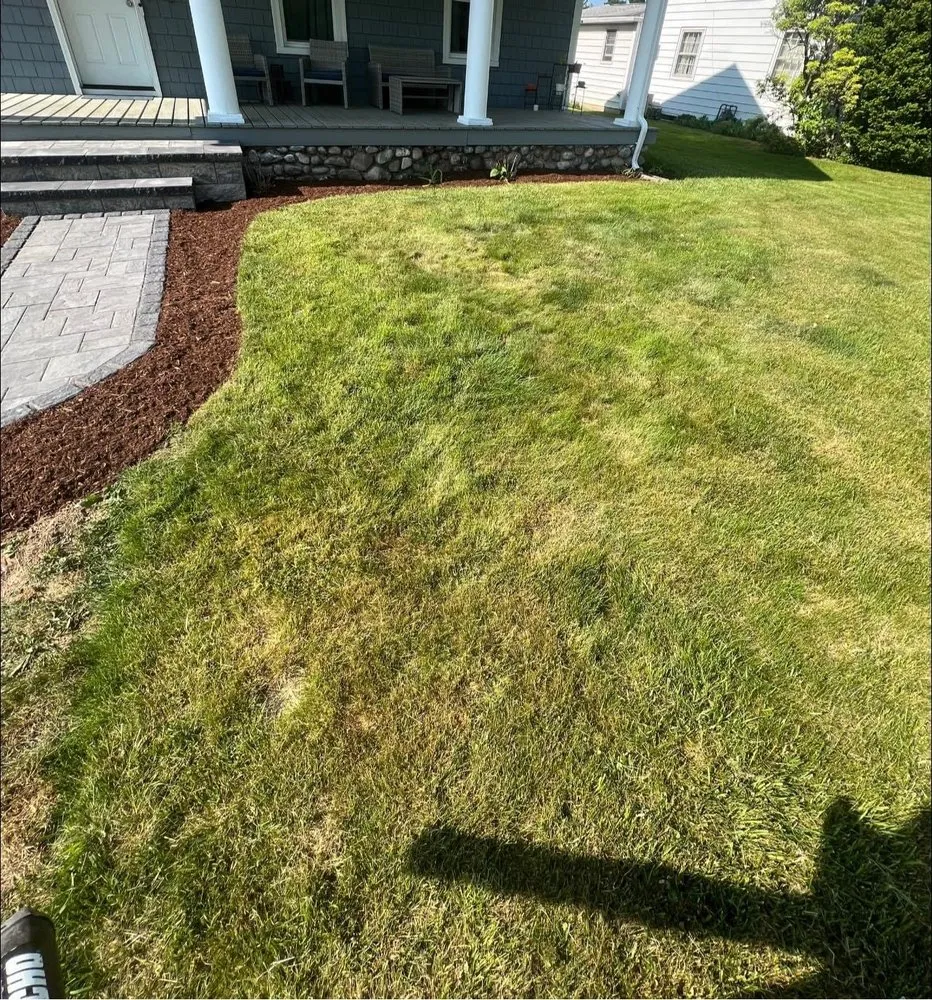 Top-rated yard maintenance in Bristol, CT - Kiss My Grass Property Maintenance