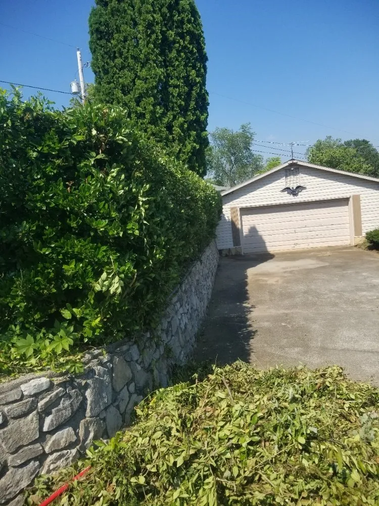 Affordable landscape installation for residential properties in Roanoke, VA by Kiss My Grass