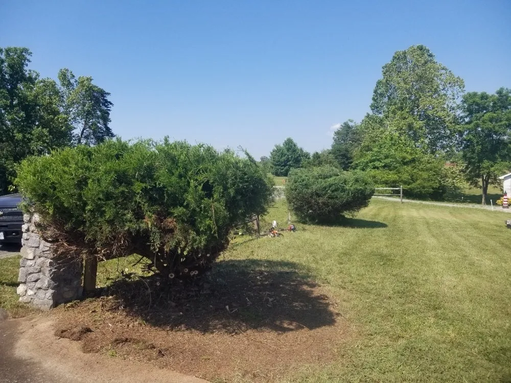 Custom residential landscaping in Roanoke, VA by Kiss My Grass